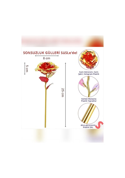 Sonsuzluk Gülü Hediyelik Gül Ev Dekor Sevgiliye Hediye Anneler Günü Hediyesi Solmayan Gül Kırmızı