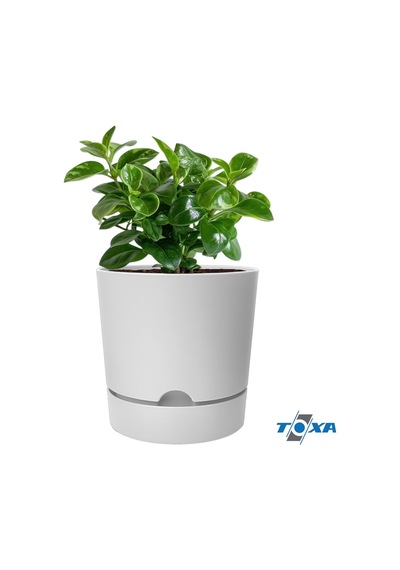 Begonya Saksı Tabaklı Drenajlı Mat Plastik Çiçek Saksısı 1 Adet, 3,3 Litre, 18cm, Beyaz 001