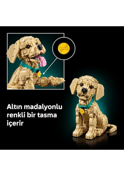 LEGO® Icons Yavru Golden Retriever 11384 - Yetişkinler için Dekoratif Hayvan Figürü Yapım Seti (2102 Parça)