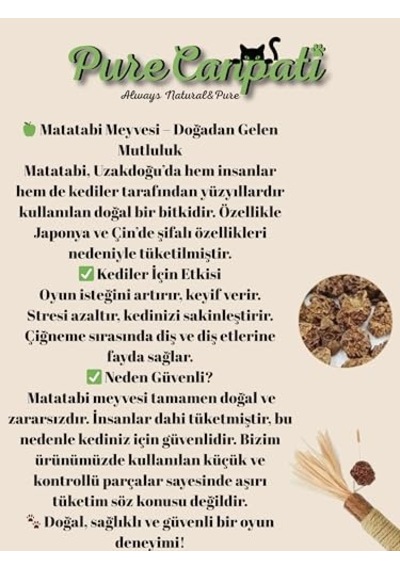 Greenwich Organik İçerikli Kedi Köpek Temizleme Köpüğü 150 Ml Pati Ve Vücut Kuru Şampuan Kaşıntı Tahriş Ve Koku Giderici Vegan