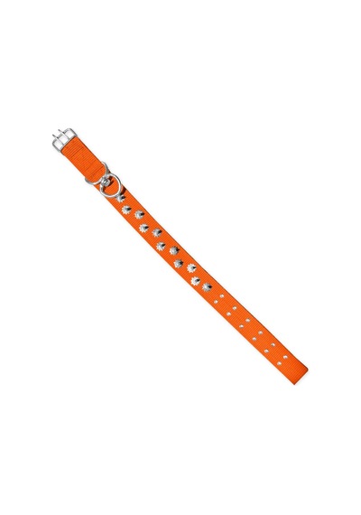 Savex Dokuma Çivili Köpek Boyun Tasması Turuncu 5 80 Cm Fosforlu Sarı