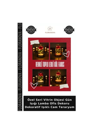 Özel Seri Vitrin Objesi Gün Işığı Lamba Ofis Dekoru Dekoratif Işıklı Cam Teraryum Çok Renkli