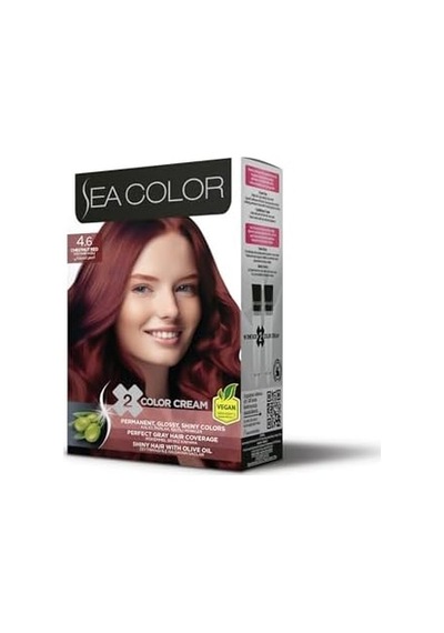 4.6 Kestane Kızılı Set Boya