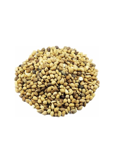 Tane Mahlep 100 G