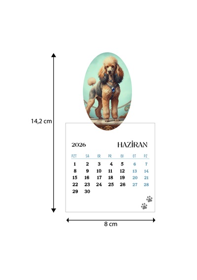 2026 Köpek Takvimi Ahşap Ayaklı Köpek Temalı Özel Tasarım Takvim