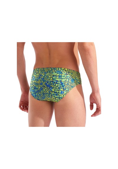Arena Snakeskin Briefs Erkek Yeşil Yüzücü Mayosu 010162506