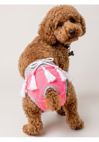Neo Pink Dişi Köpek Regl Külotu Köpek Donu Köpek İç Çamaşırı Pet Kıyafet Küçük Irklar İçin