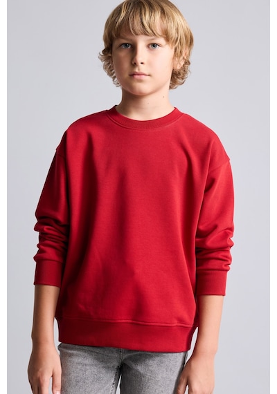 Defacto Bisiklet Yaka İçi Yumuşak Tüylü Basic Sweatshirt Erkek Çocuk I1419a826wnbr244 Kırmızı-br244