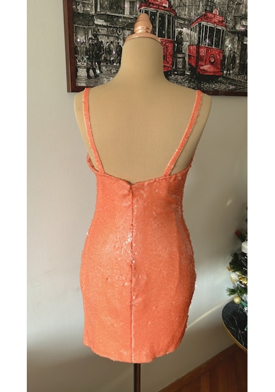 Chica Rosa Fashion Somon Pullu Mini Elbise