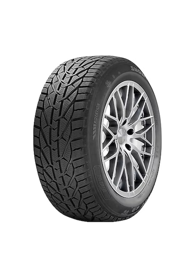 Riken 205/55R17 95V XL Snow Kış Lastiği 5 2025