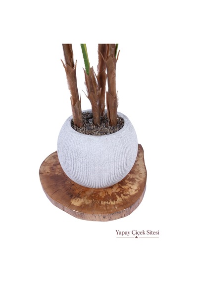 Yapay Çiçek Sitesi Bohem Küre Saksıda Yapay Palmiye Fanpalm Ağacı 155 Cm Yeşil