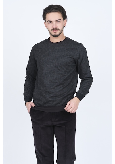 Raymons Erkek Desenli Bisiklet Yaka Triko Sweat 6782270 Siyah