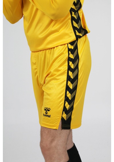 Hummel Royal Kaleci Şortu Sarı