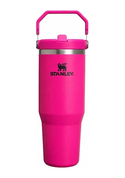 Koyu Pembe Renkli 0.89 Litre Termos İle Şık Tasarım 01