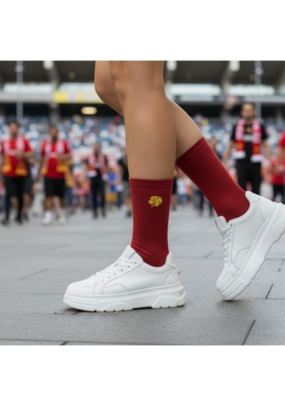 Taraftar 6 Çift Kutulu Sarı Kırmızı Aslan Nakışlı Casual Yazlık Kışlık Unisex Soket Tenis Çorap Çok Renkli