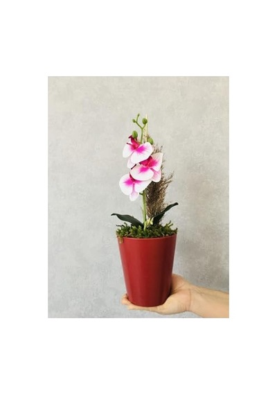 Orkide Yapay Çiçek, 38 Cm, Pembe-beyaz, Saksıda Diğer