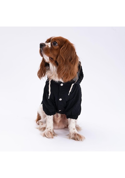Siyah Mont Köpek Mont Köpek Kıyafeti Köpek Yağmurluğu Küçük-büyük Irklar
