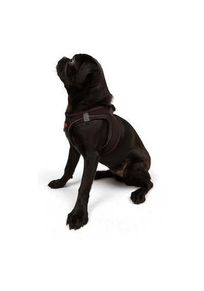 Air-Mesh Küçük ve Orta Irk Kedi Köpek Göğüs Tasması - Yumuşak, Nefes Alabilir, Dayanıklı KAHVRENGİ 2XS Air-Mesh Küçük ve Orta Irk Kedi Köpek Göğüs Tasması - Yumuşak, Nefes Alabilir, Dayanıklı KAHVRENGİ 2XS
