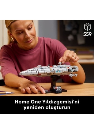 Koleksiyonluk Ve Dekoratif Model, Yetişkinler İçin