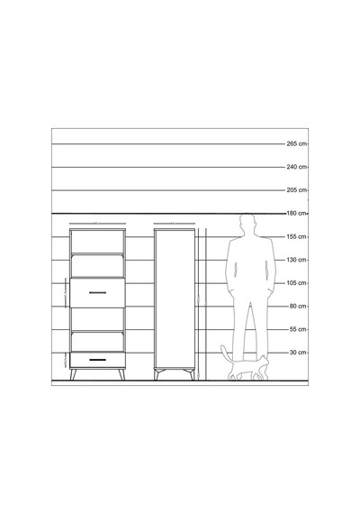 Hyperion Dolap 4 Raflı 2 Çekmeceli 60x44x163 Antrasit-antrasit Antrasit