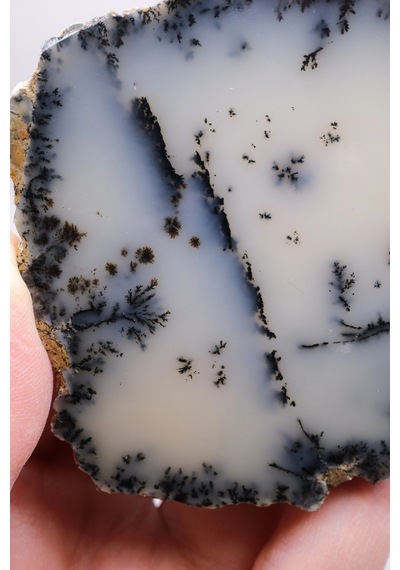 Krem Ve Beyaz Renkli Merlinit - Krem Dendritik Opal İle Jet-siyah Ağaç İçerikler