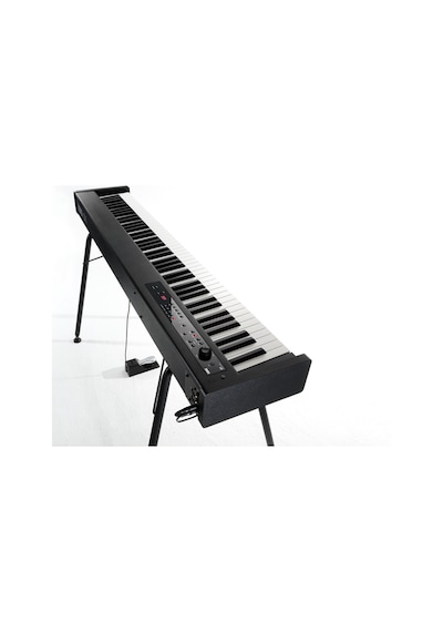 Korg D1 BK - Siyah Dijital Piyano