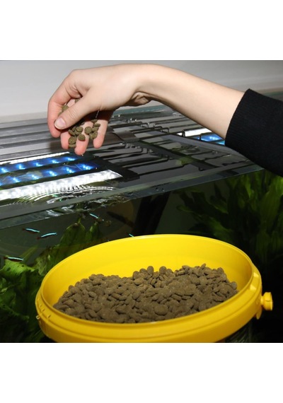 Jbl Pronovo Pleco Wafer M 5,5 L 2900 Gr