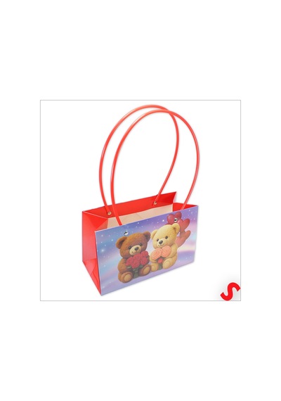Karton Çanta-22 13,5 10,5cm- Teddy 1+