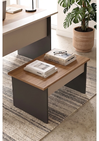 Robin Home Nexus 72x45 Cm Ofis Sehpası Orta Sehpa Sepet-kumsal-antrasit Kahverengi