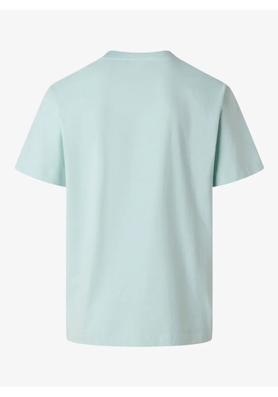 The North Face Nf0a8gqe-dom Essential Center Logo Relaxed Short Erkek T-shirt Turkuaz