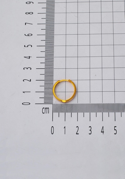 Bilezikci Ajda 14 Ayar Halka Altın Küpe 2 Cm. Çaplı