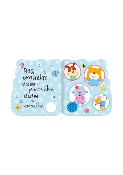 Sesli Kitaplar Baş Omuzlar Dizler Ve Parmaklar Eolo Yayınları