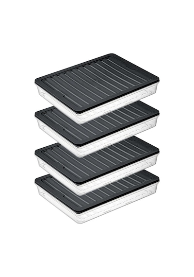 Bigmate Bgmt2525 4'lü Şeffaf Saklama Kabı 4x2,5 Lt Mikrodalga Buzdolabı Ve Dondurucu Uyumlu Düzenleyici Siyah