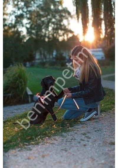 Reflektörlü Köpek Boyun Tasması 30 - 45 Cm Turuncu