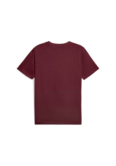 Puma Ess No. 1 Logo Tee Erkek Yetişkin T-shirt Bordo Puma Ess No. 1 Logo Tee Erkek Yetişkin T-shirt Bordo