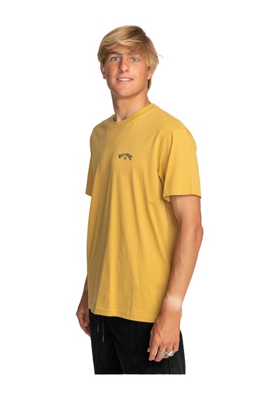 Billabong Arch Wave Tees Sari