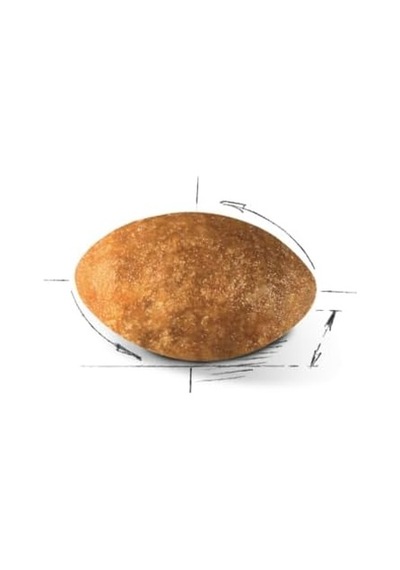 Persian Adult Kedi Maması, 2 Kg