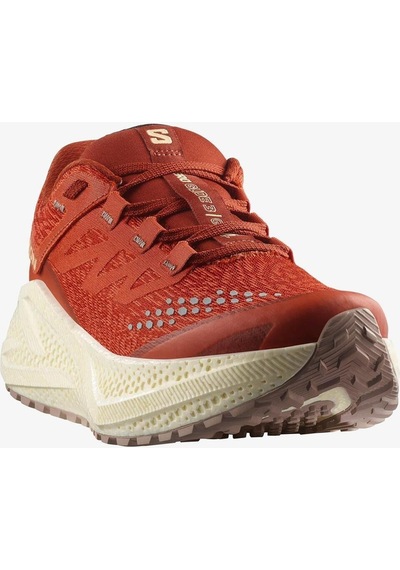Salomon Aero Glide 3 Grvl Kadın Koşu Ayakkabısı-7196 Çok Renkli