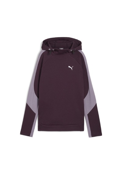 Puma Kadın Hoodıe Evostrıpe Hoodie 68166944 001