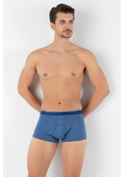 Doremi Dennis Cotton Erkek Boxer Mavi