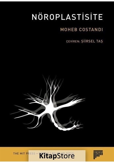 Nöroplastisite / Moheb Costandi