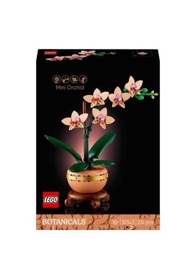 Northcity Botanicals Mini Orkide 10343 Bx Standart