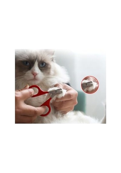 Ergonomik Çelik Kedi Tırnak Makası, Kolay Kullanım İçin Tasarlandı