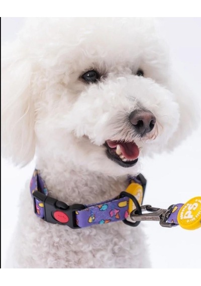 Pawstar Ice Cream Boyun Tasması M Boyun Çevresi: 32 Cm X 48 Cm Çok Renkli