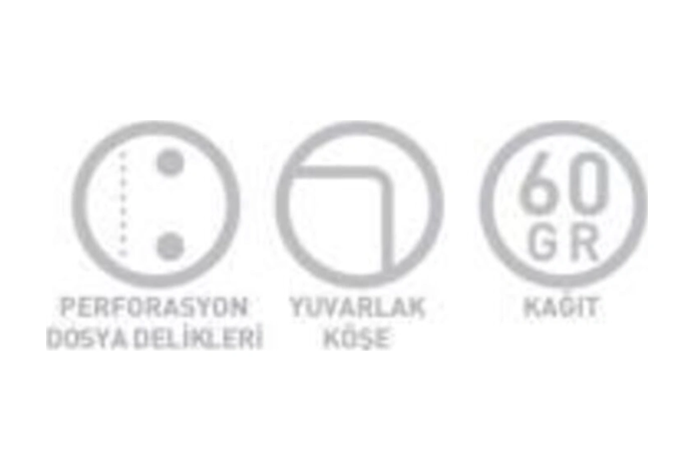 Chromo A4 Spiralli Pp Kapak Defter 80 Yaprak Kareli 4 Lü Paket 1338 Karışık