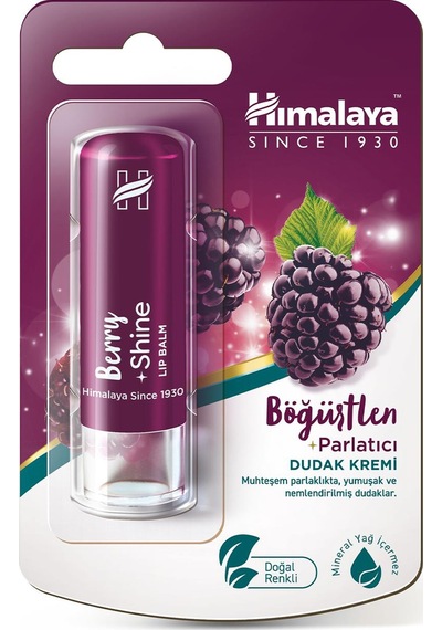 Himalaya Böğürtlen Parlatıcı ve Nemlendirici Dudak Bakım Kremi 4.5 G