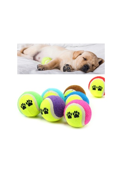 Köpek Oyuncağı 3 Parça Desenli Tenis Topu Kedi Renkli