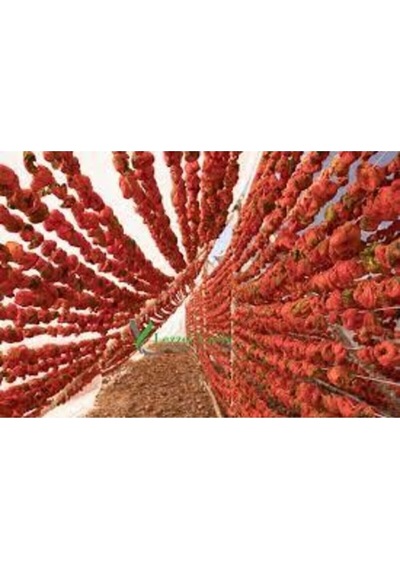 100 Adet Kurutulmuş Acı Antep Dolmalık Biber Yeni Mahsül Doğal Köy Biberi Orta Boy Kuru Biber Dolma..