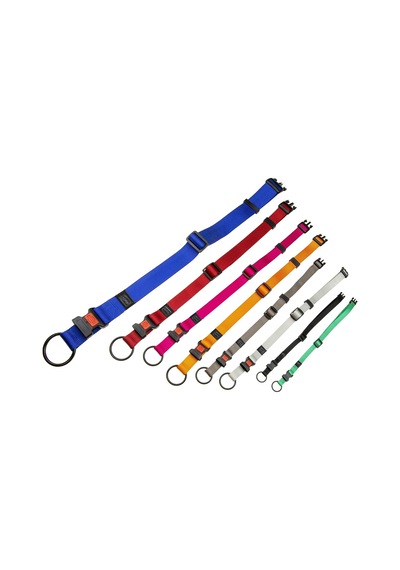 Boyun Tasması Mavi 55-75x4 Cm Çok Renkli