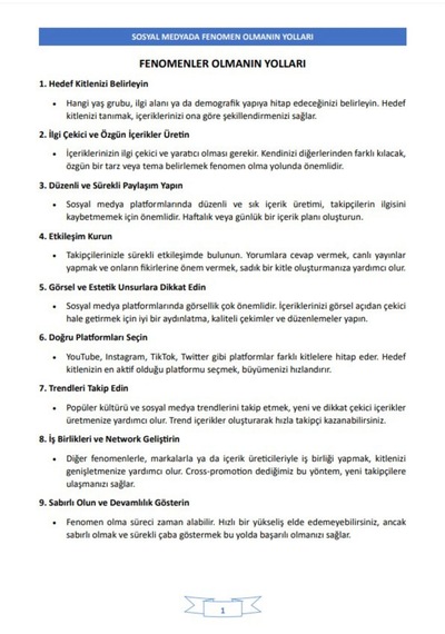 100 Adımda Fenomen Olmanın Yolları Kitabı